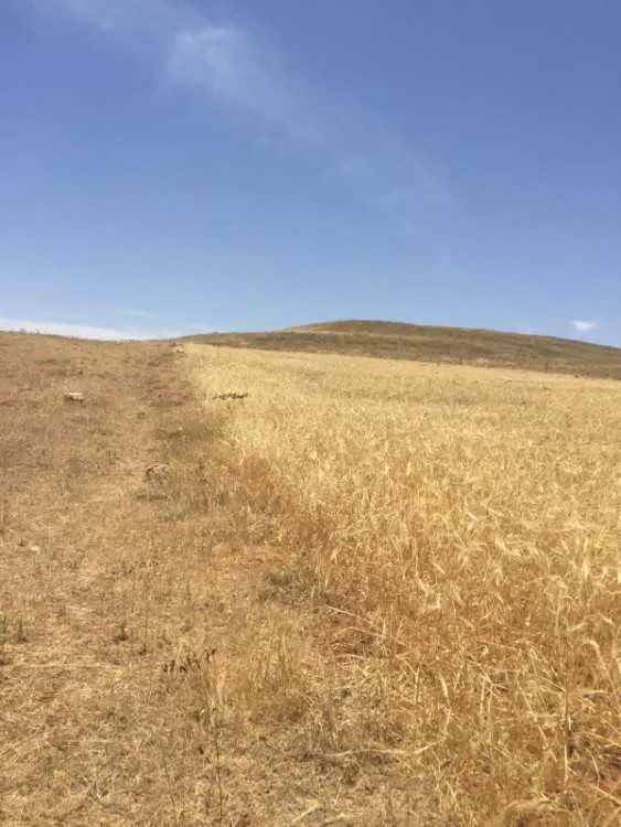 Terrain à louer - ميدلت (3)