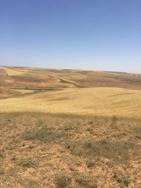 Terrain à louer - ميدلت