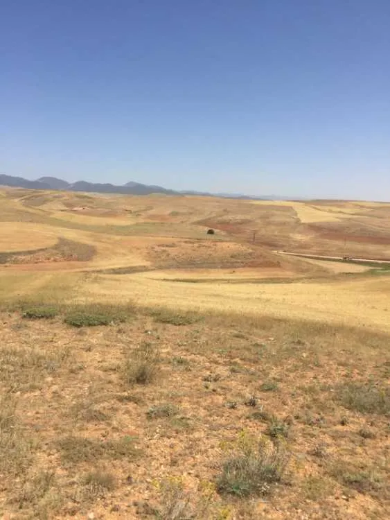 Terrain à louer - ميدلت (2)