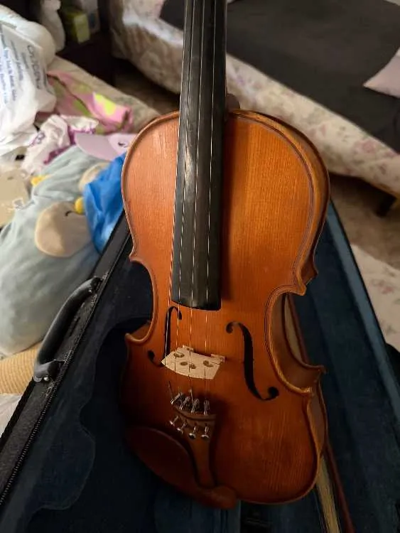 Violon - سلا