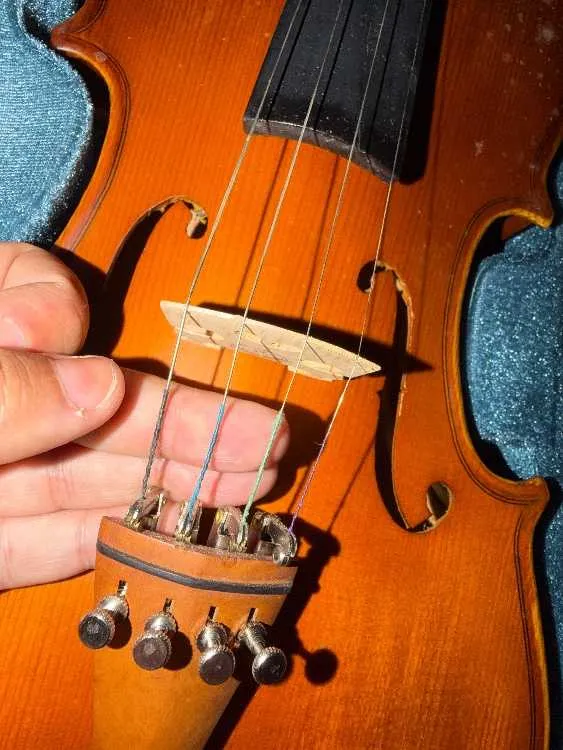 Violon - سلا (2)