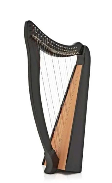 Harpe "deluxe" à 22 cordes - الدار البيضاء