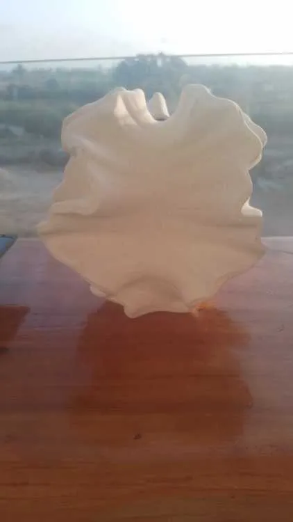 Deux très beaux et élégant vases coquillages - الدار البيضاء (3)
