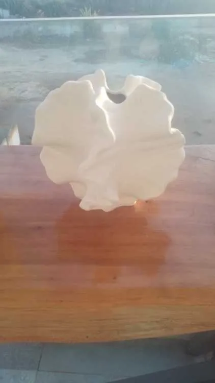 Deux très beaux et élégant vases coquillages - الدار البيضاء