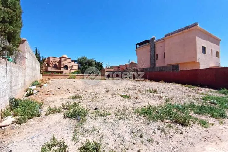 Terrain douar belaagid palmeraie - الدار البيضاء