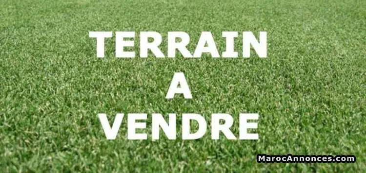 Terrain en zone immeuble a ermitage - الدار البيضاء