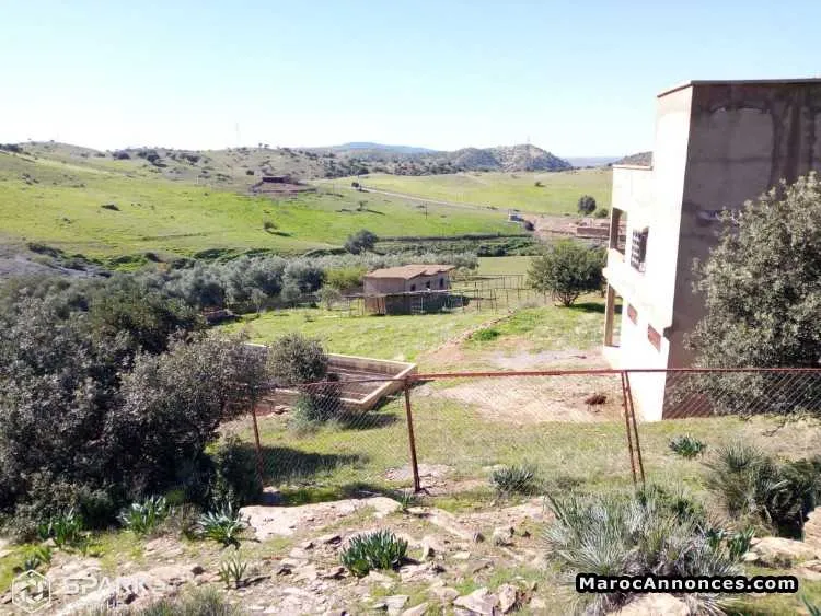 Terrain a khenifra - الدار البيضاء (3)