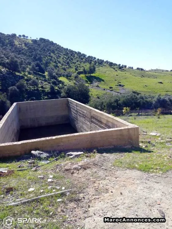 Terrain a khenifra - الدار البيضاء (2)