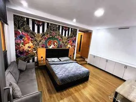 Studio meublé hs rabat hassan 45m² - الرباط (3)