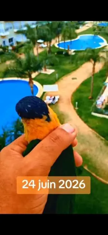 Joli apt 3 piscines 5 min de la plage bouznika - بوزنيقة (2)