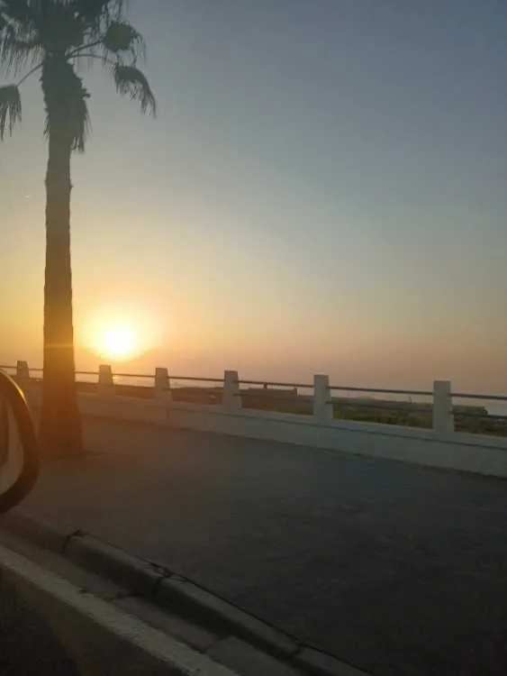 عندي عقم اريد زوجة معقولة - الدار البيضاء