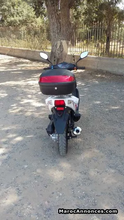 Scooter tanber 110cc - الدار البيضاء (3)