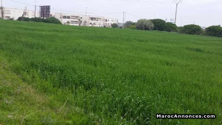 قطع ارضية متعددة للبيع - الدار البيضاء
