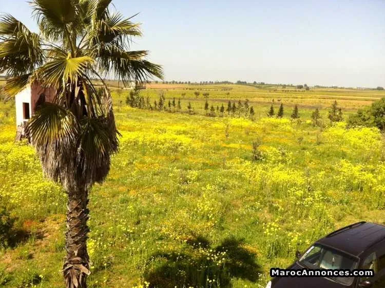 Une ferme à tifelt à vendre titré - الدار البيضاء (2)