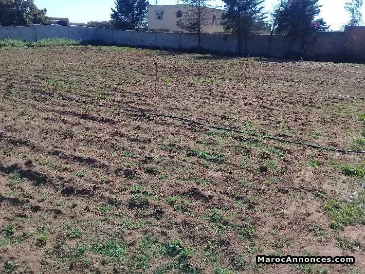 Terrain 1.5 hectare - الدار البيضاء (2)