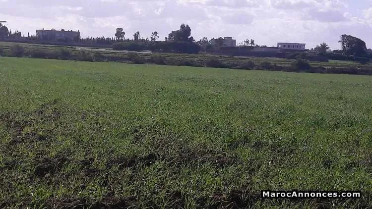 Terrain  a vendre a dar bouazza(titre fonce) - الدار البيضاء