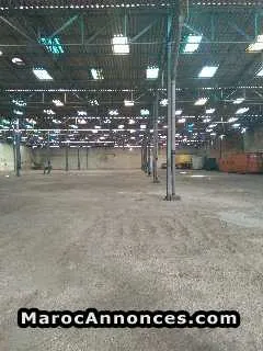 Hangars a louer - الدار البيضاء (2)