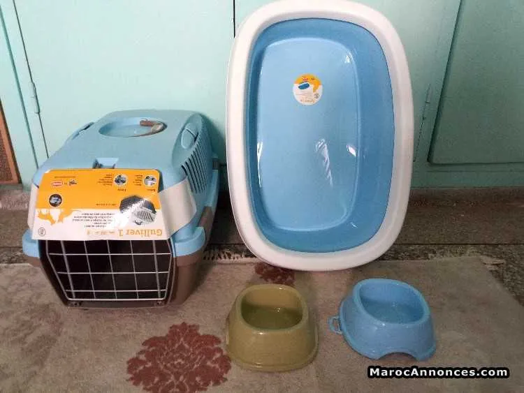 Ensembles neufs pour chat est chiot - الدار البيضاء