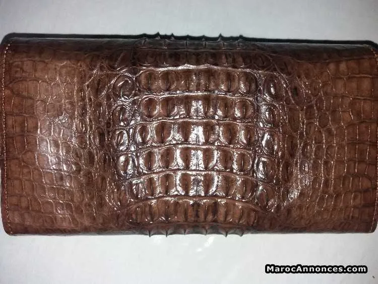 Crocodille article - الدار البيضاء