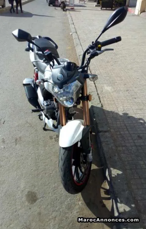 Beneli vlx - الدار البيضاء