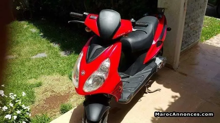 Moto   scouter - الدار البيضاء