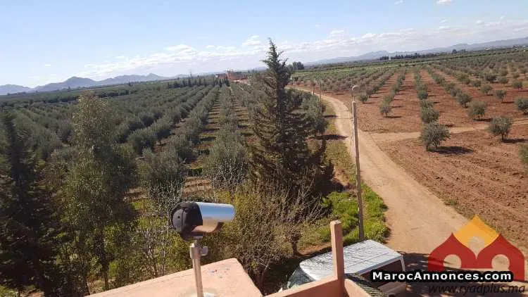 Terrain à vendre - الدار البيضاء (2)