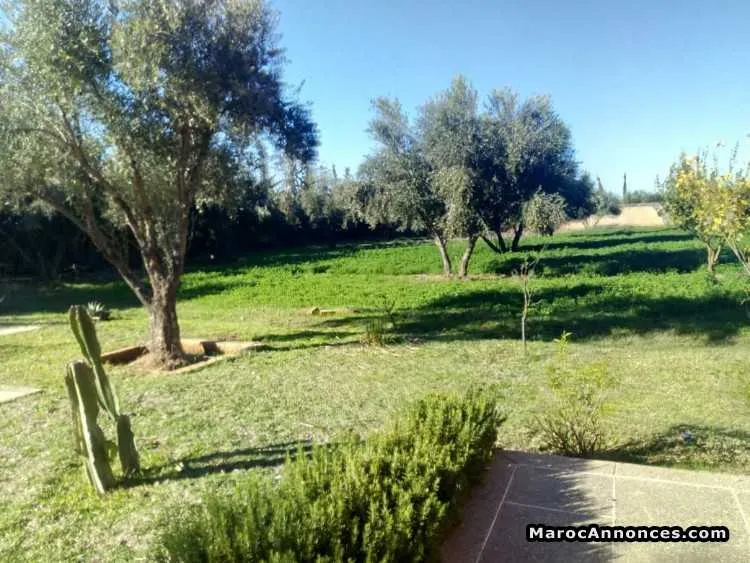 Villa en location route ourika - الدار البيضاء (3)