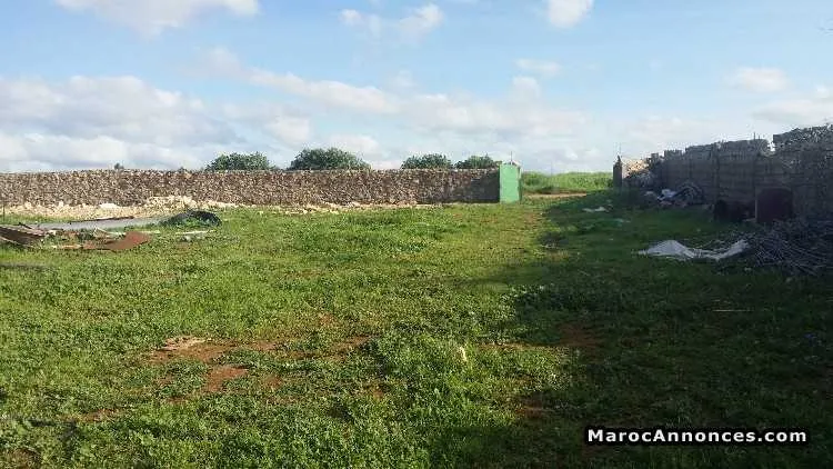 Dépot de 1400 mtr à louler à chellalate - الدار البيضاء (2)