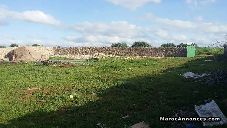 Dépot de 1400 mtr à louler à chellalate - الدار البيضاء (3)