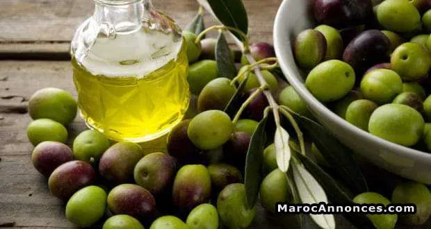 زيت الزيتون الحرة الاصيلة -الشياظمة - الدار البيضاء
