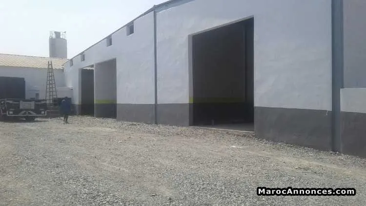 Entrepot stockage - الدار البيضاء (3)