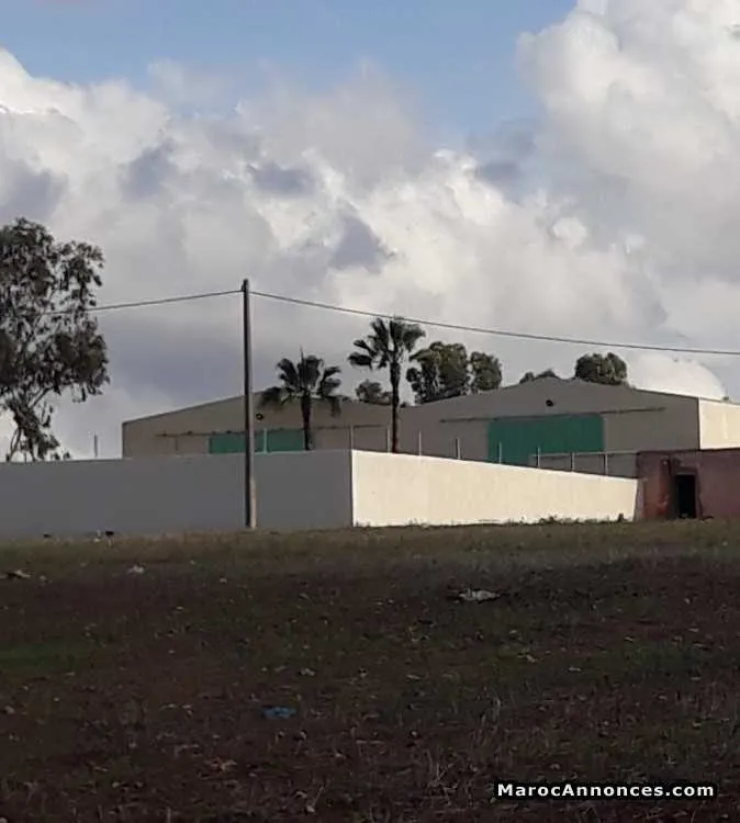 2 hangar a louer a tamariss had soualem - الدار البيضاء