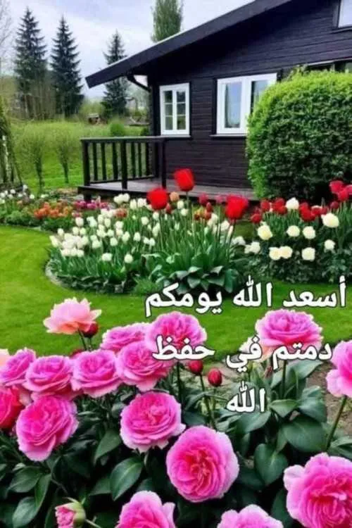 الزوجة الصالحة - الدار البيضاء
