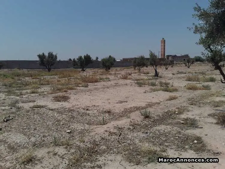 Vente terrain agricole de 3he à rte de ouarzazate - الدار البيضاء (2)