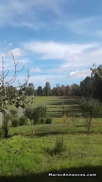 Villa et terrain agricole de 6000m2 - الدار البيضاء (3)