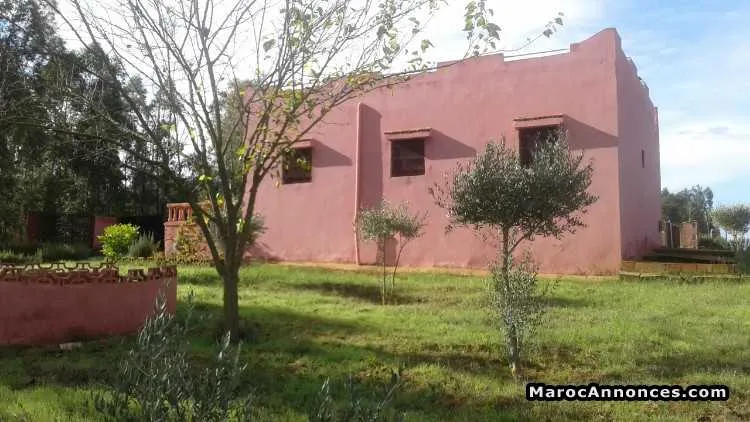Villa et terrain agricole de 6000m2 - الدار البيضاء (2)