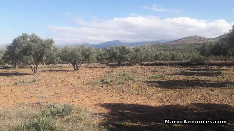 Terrain a vendre - الدار البيضاء