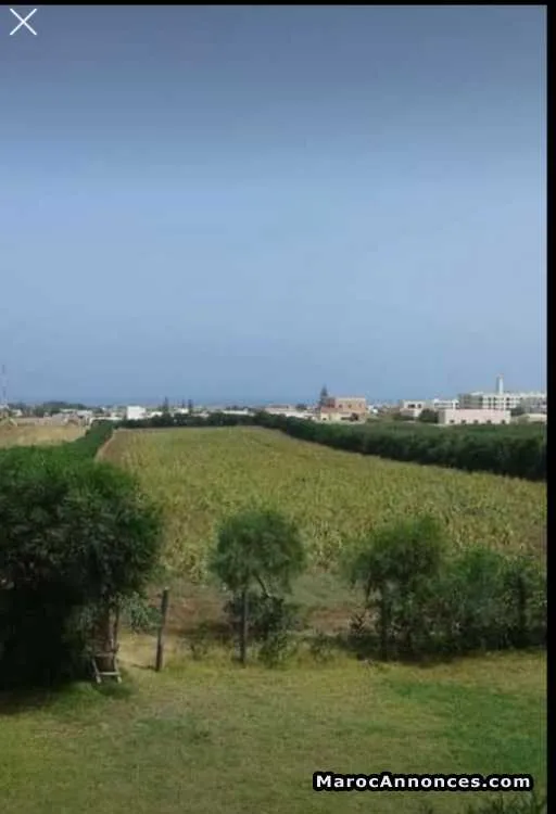 Terrain  a sidi rehal - الدار البيضاء (2)