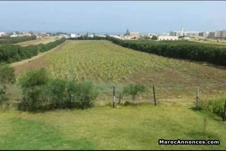 Terrain  a sidi rehal - الدار البيضاء