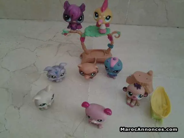 Lot de 8 petshop - الدار البيضاء