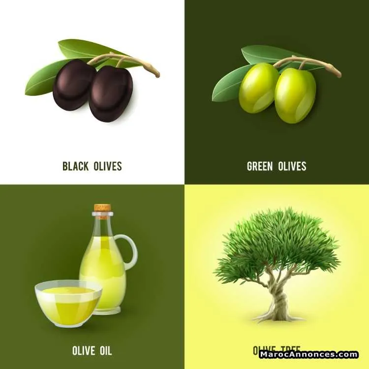 Huile d'olive - الدار البيضاء