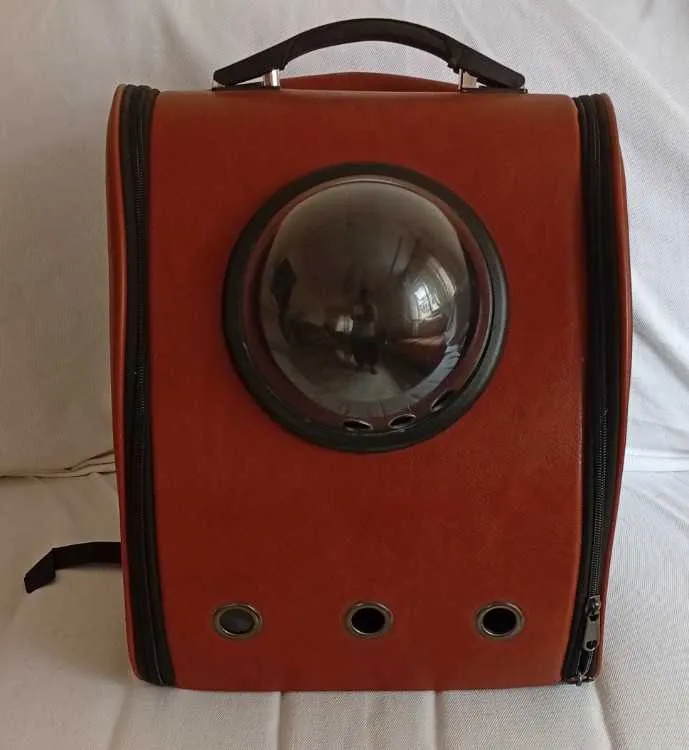 Superbe sac pour animal de compagnie - الدار البيضاء (3)