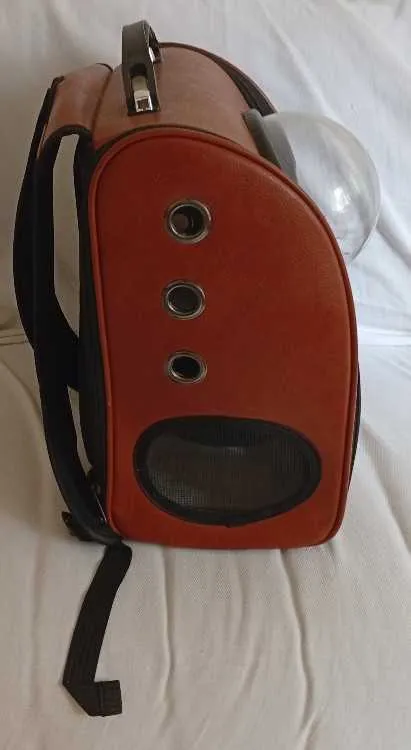 Superbe sac pour animal de compagnie - الدار البيضاء (2)