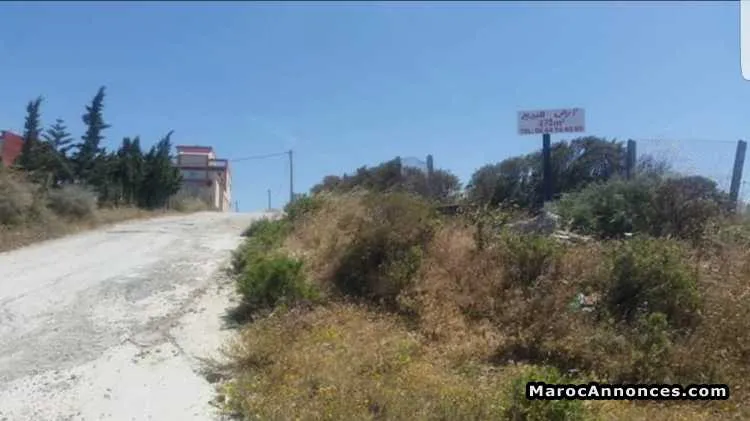 Terrain titré près de diki à 10 km de ksar sghir - الدار البيضاء
