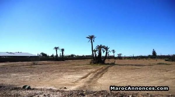 Terrain 1 ha a vendre route de fes - الدار البيضاء