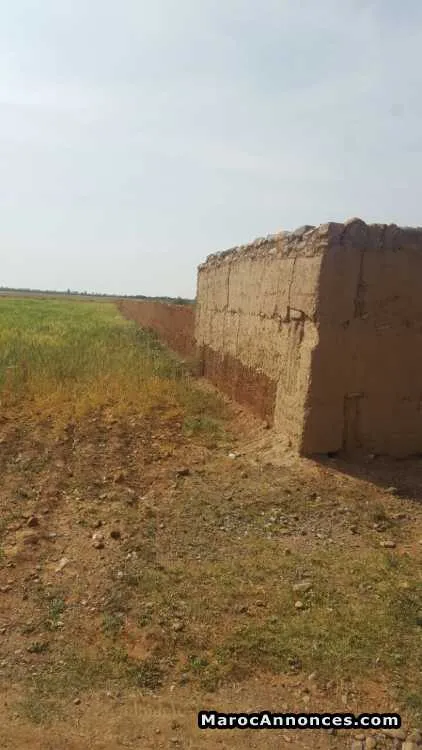 Terrain titré avec villa vue sur l’atlas - الدار البيضاء (2)