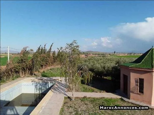 Vente une ferme de 4 hectares titrés ac villa - الدار البيضاء (2)