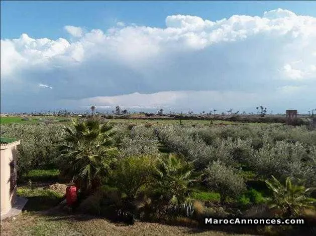 Vente une ferme de 4 hectares titrés ac villa - الدار البيضاء