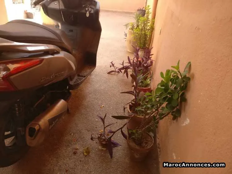 Dink street 300i - الدار البيضاء (3)