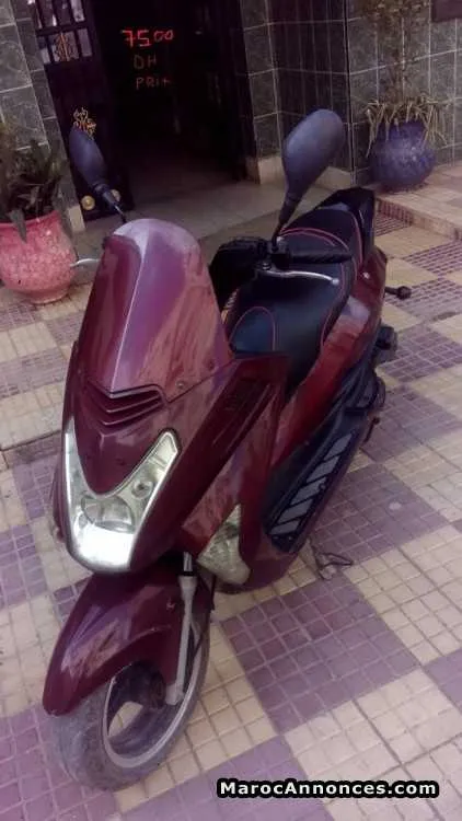 Motor vipir - الدار البيضاء